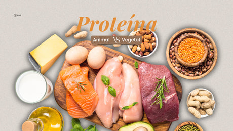Proteína Animal VS Proteína Vegetal e a síntese proteica muscular