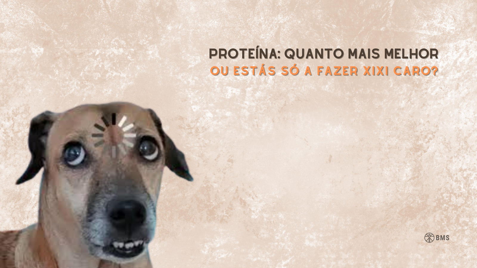 Proteína e Hipertrofia: Quanto mais melhor?