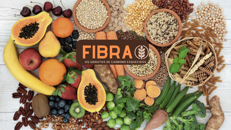 Fibra: Os Hidratos de Carbono Esquecidos