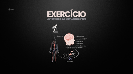 Exossomas: a nova fronteira entre exercício físico e saúde mental