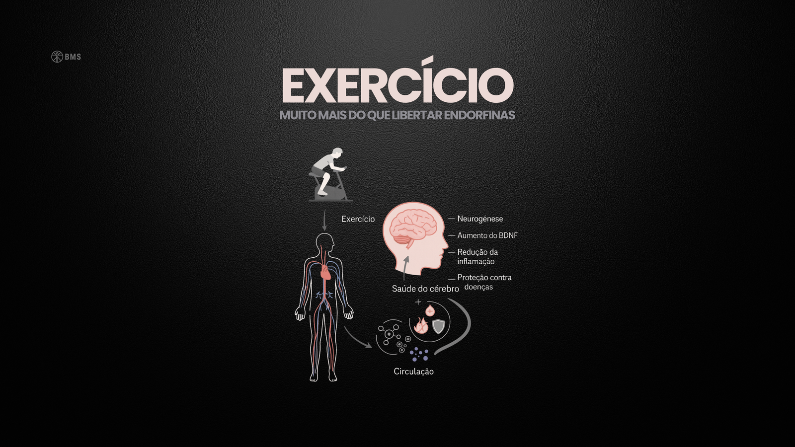 Exossomas: a nova fronteira entre exercício físico e saúde mental